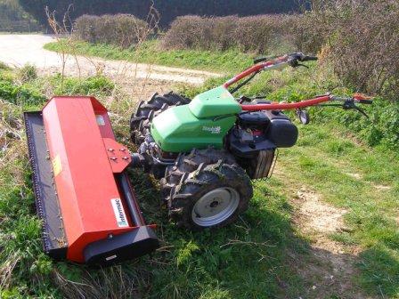 rapid euro rapid euro