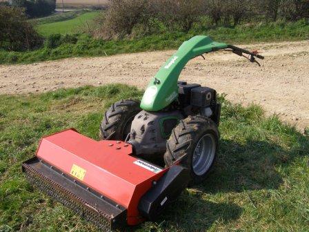 rapid universo rapid universo